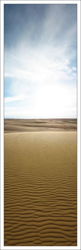 Gobi_(II)_von_Mo.jpg